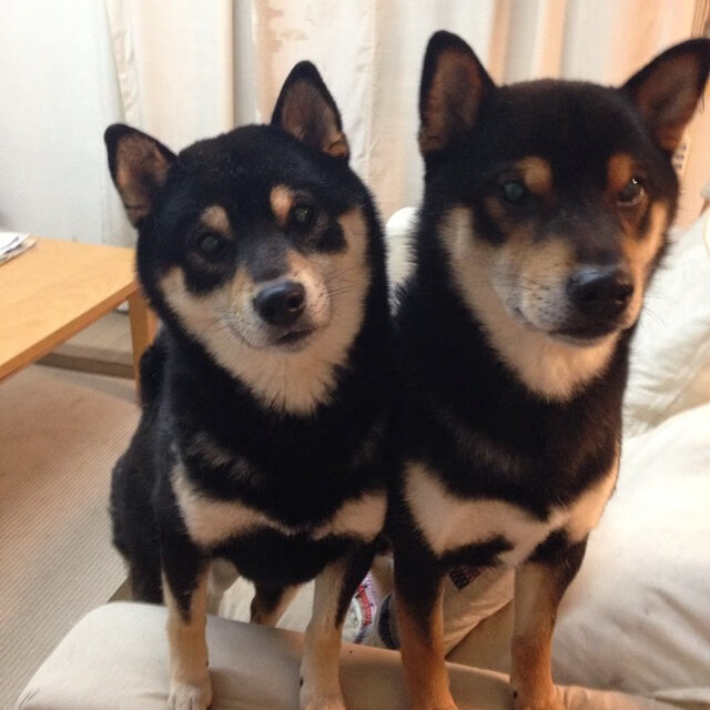 决胜一秒与漫长磨砺,欧文那记撕裂寂静的投篮