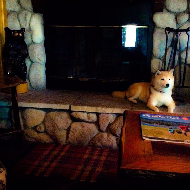 节奏之争,个体带动与集体绞杀—从弗拉霍维奇到墨西哥足球的战术启示