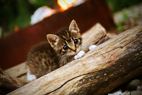唯一真核!欧冠淘汰赛之夜,格纳布里数据全面爆炸,他才是接管比赛的人