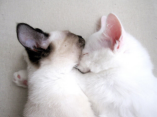 虚幻剧场里的真实桑巴,内马尔单骑戏红魔