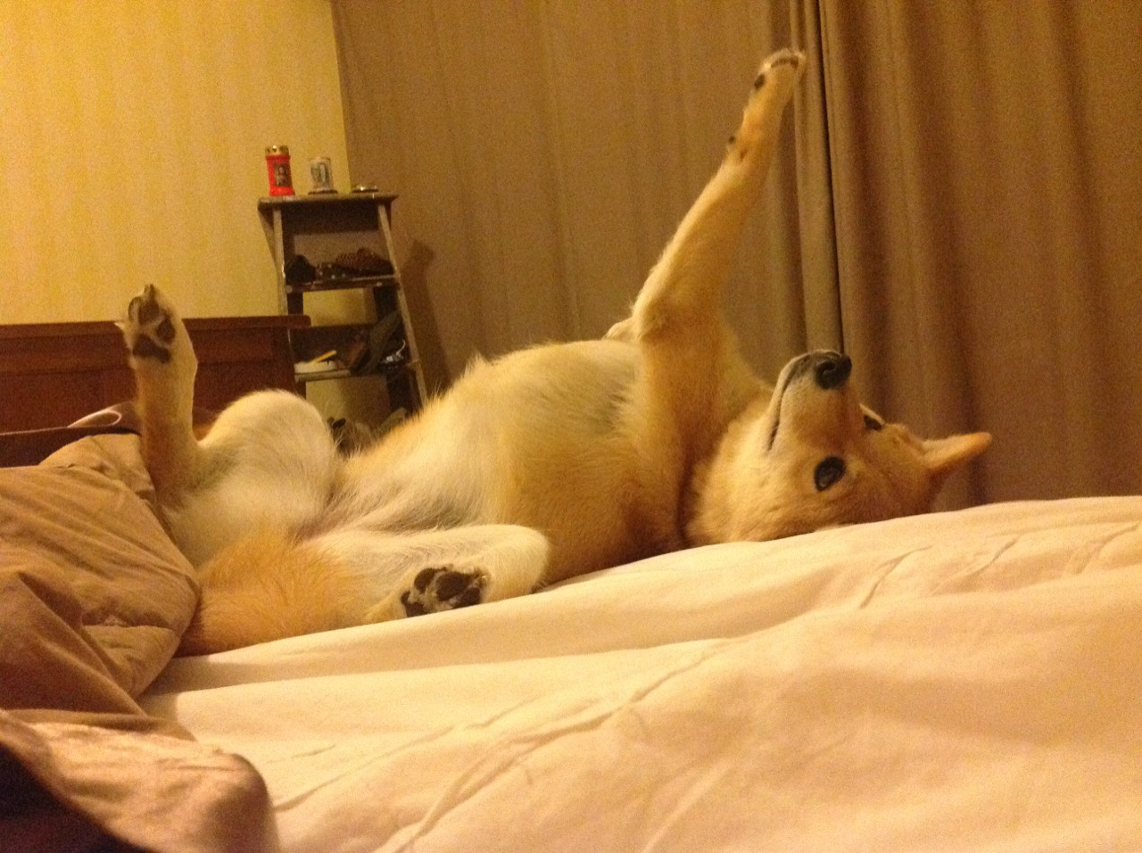 魔都传说，上海队逆转马刺，哈登如何成为跨越维度的关键先生