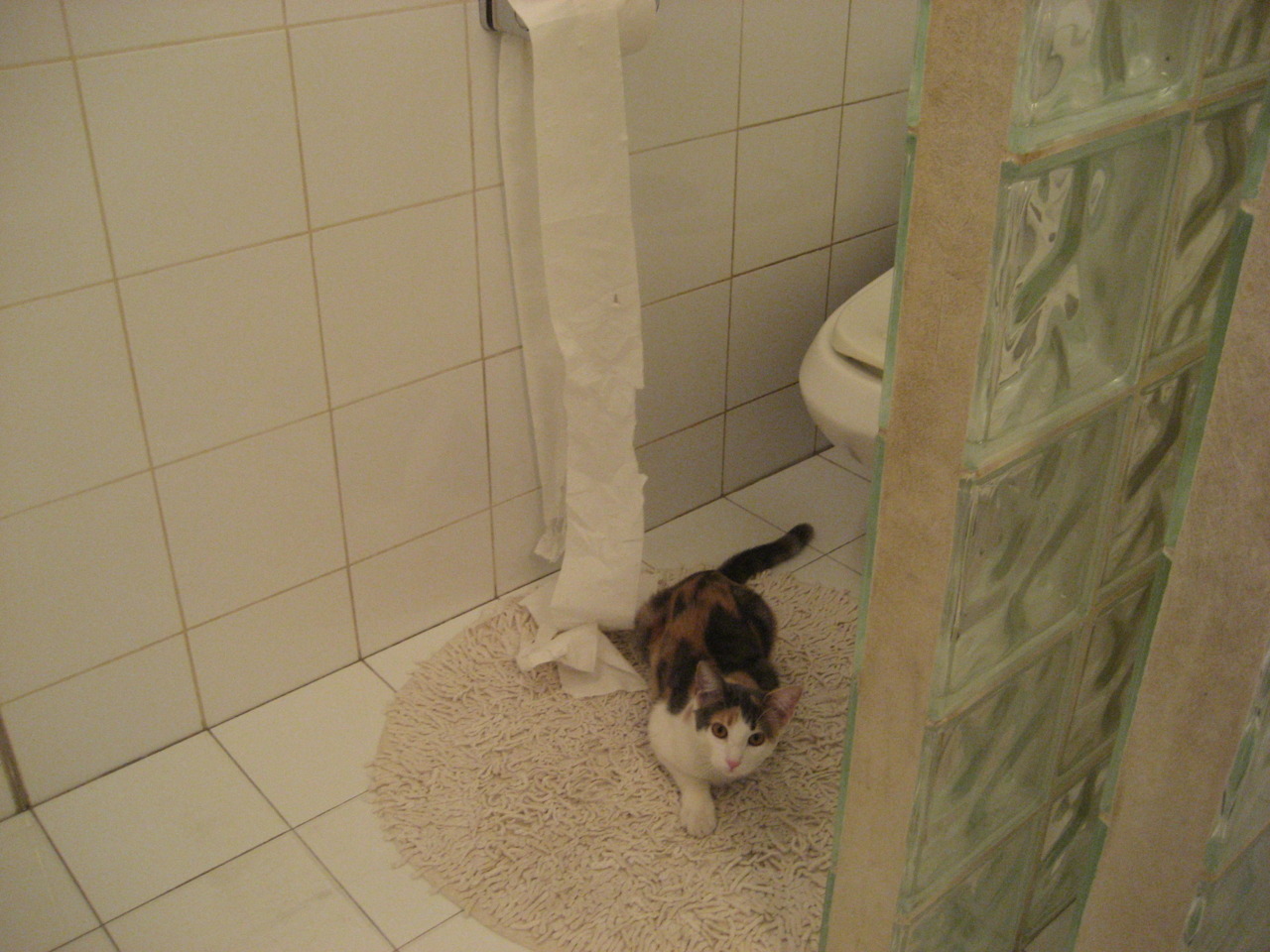 当篮球化为绿茵诗篇，范弗利特在欧冠之夜的关键节点连续得分艺术