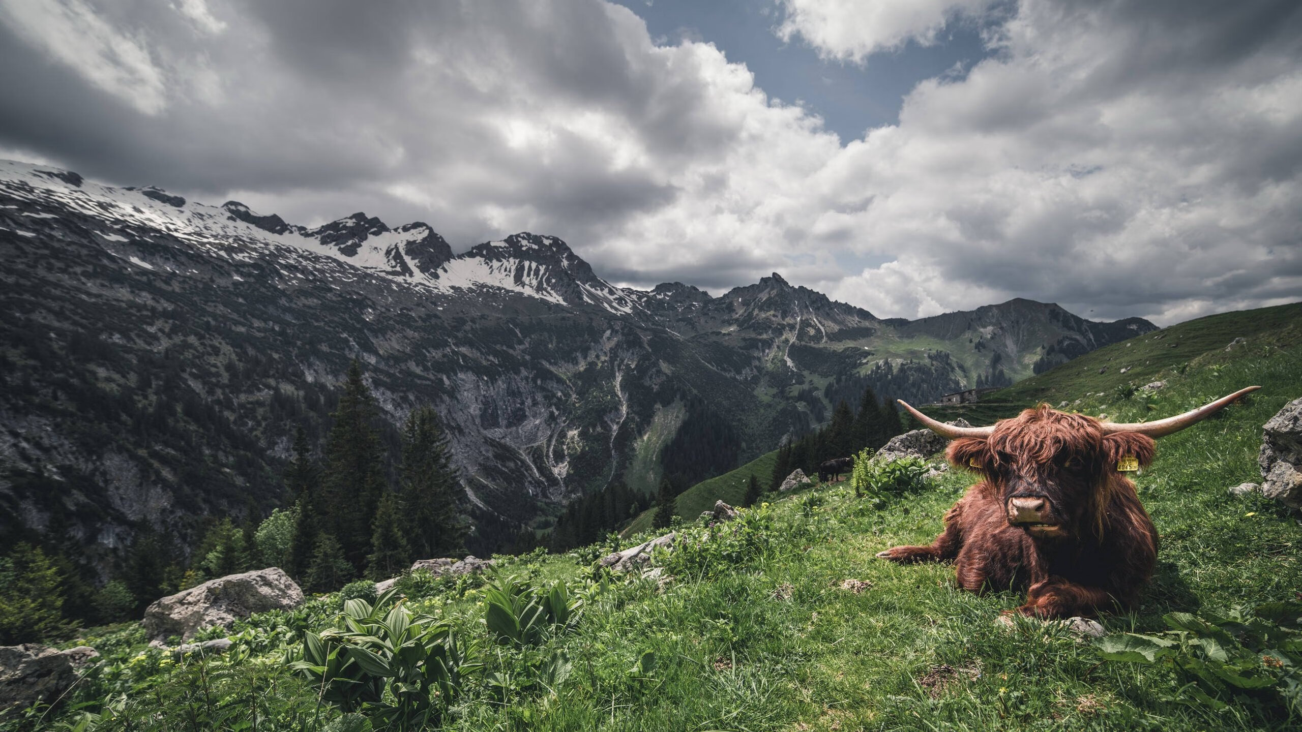 摩纳哥的节奏艺术，姆巴佩关键先生引领胜秘鲁