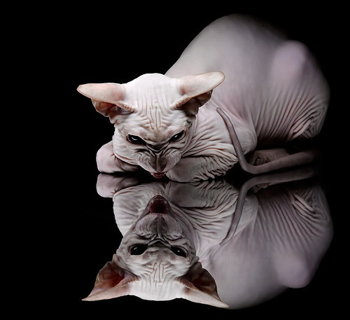 格纳布里今夜摧毁教科书，当防线沦为一道待解的算术题