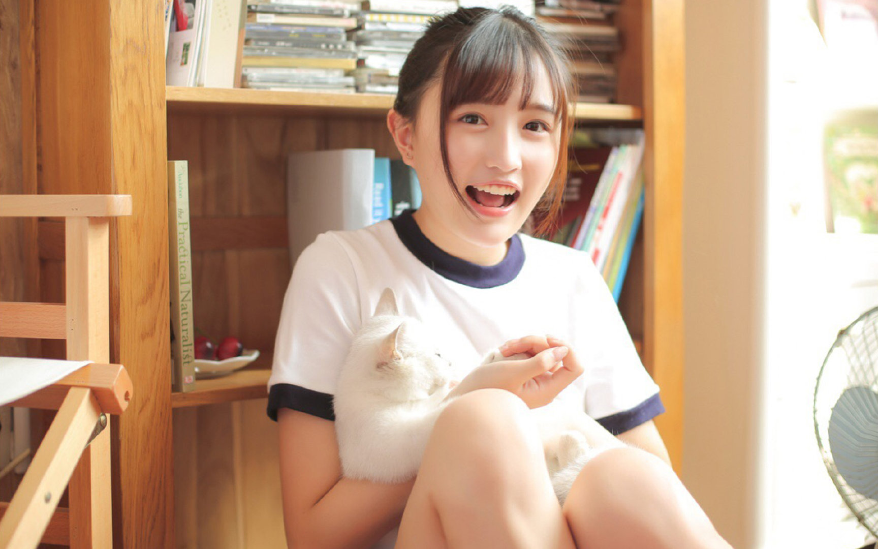 纬度之外，佩德里的艺术与冰岛的足球宣言