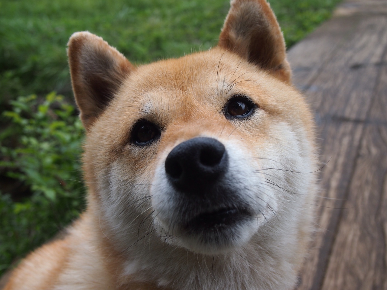 沉静风暴眼,阿森纳用窒息节奏淹没切尔西,沉默的斯通斯如何成为胜负密码?