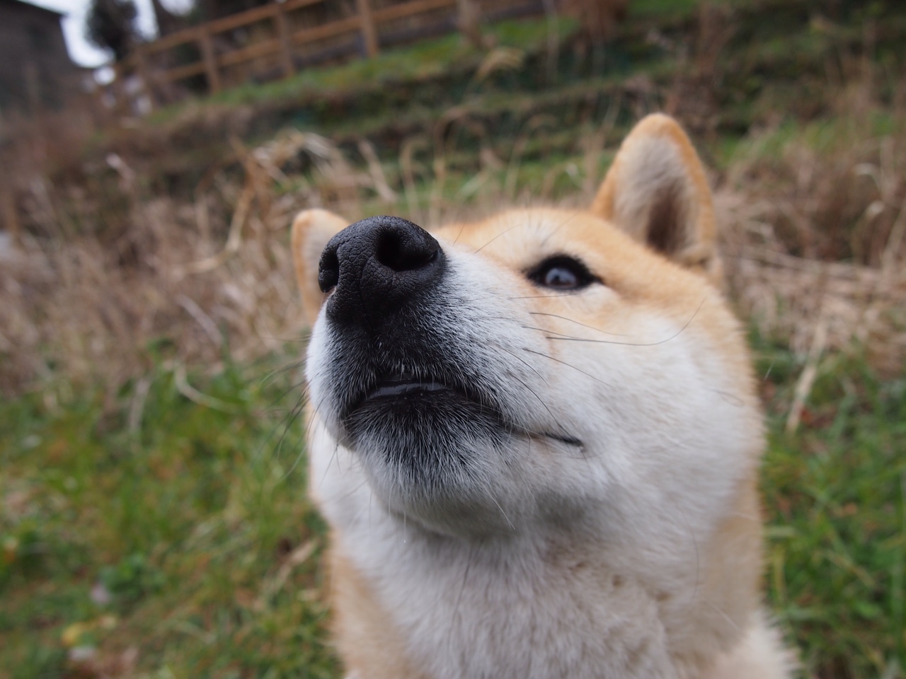 里程碑之夜，爱德华兹闪耀英超争冠战