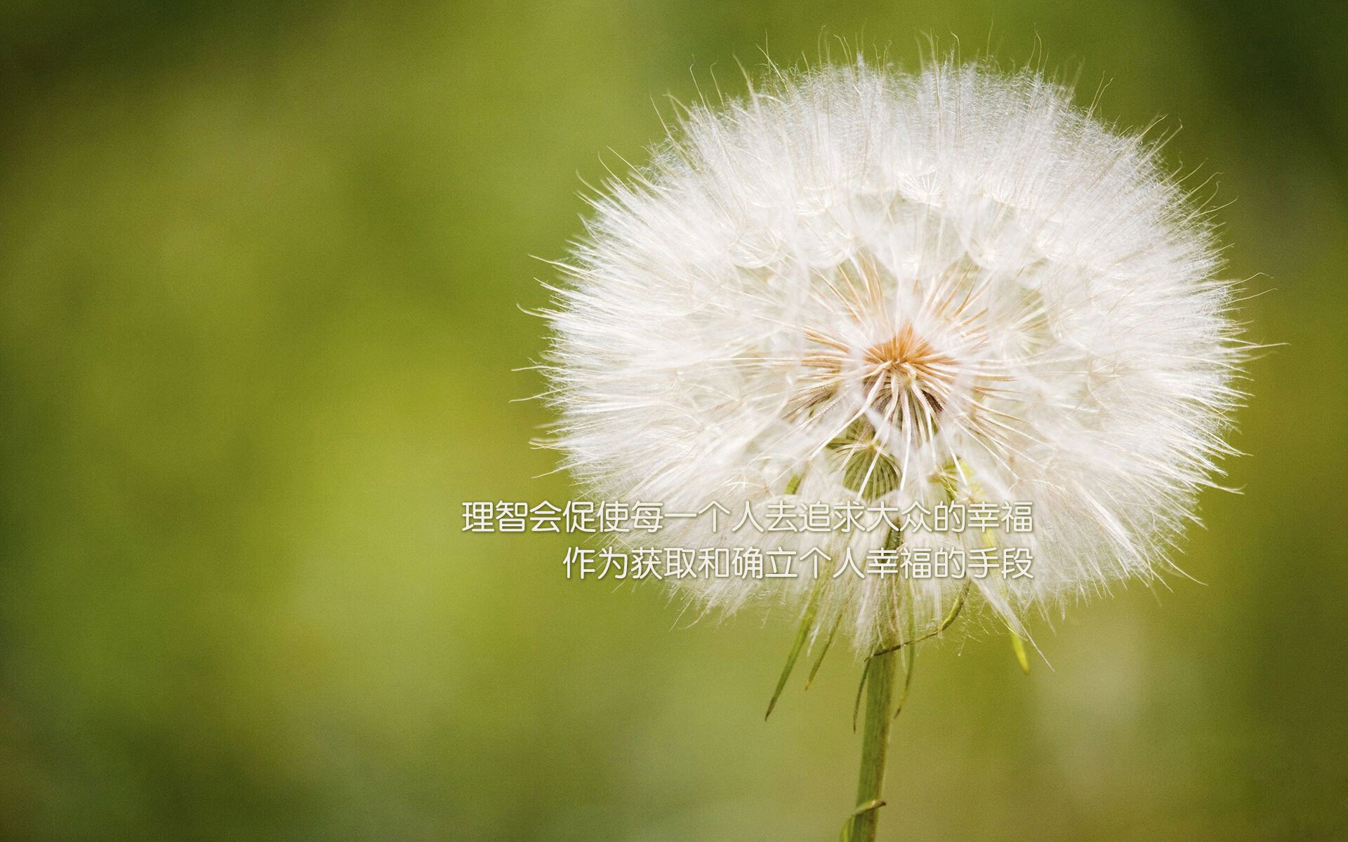 唯一的胜利，喀麦隆补时绝杀秘鲁，萨卡成为历史书写者