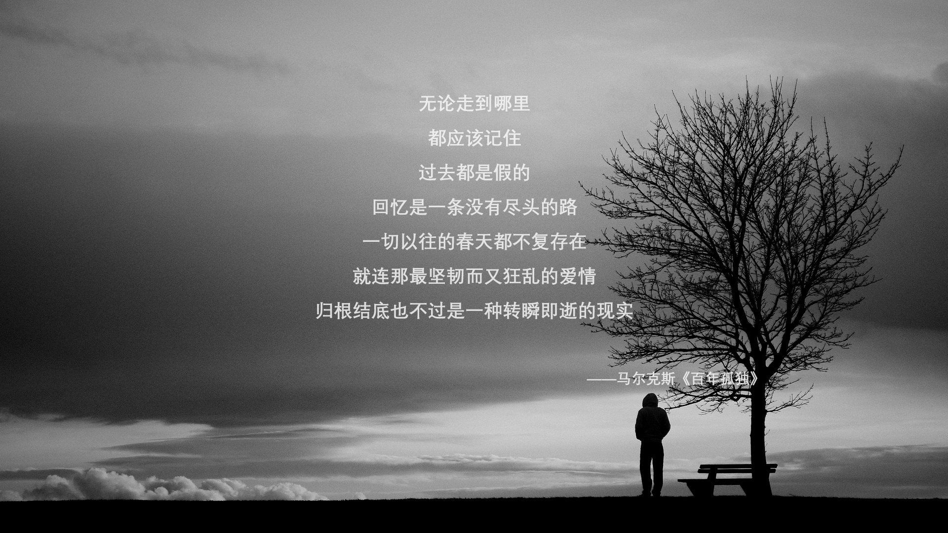 冰与火的征服,2026世界杯决赛,智利如何用铜墙铁壁压垮荷兰,布罗佐维奇的老将悲歌与终极救赎