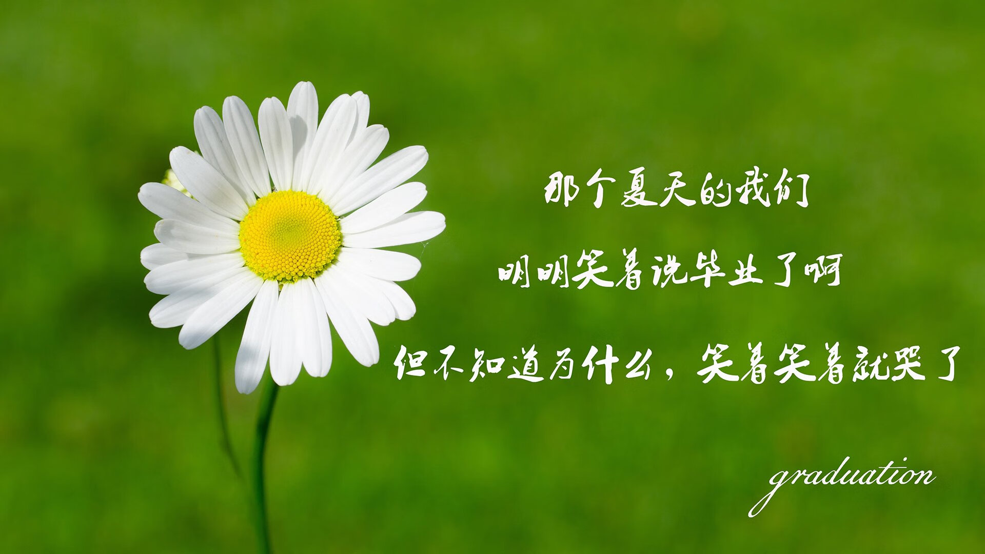 血洗布达佩斯,齐耶赫的归化复仇记,匈牙利7-0碾碎斯洛伐克,2026世界杯关键战定乾坤