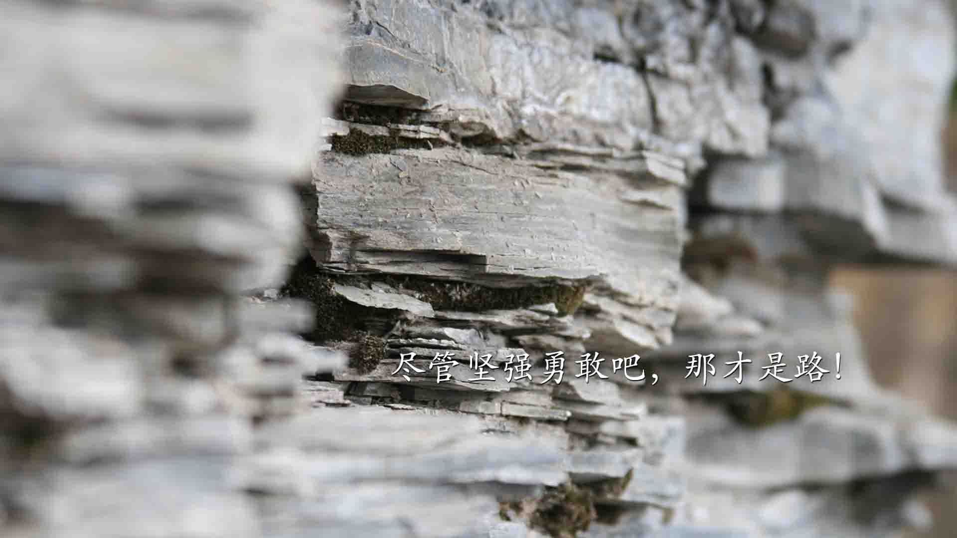 以下是根据你的要求创作的文章
