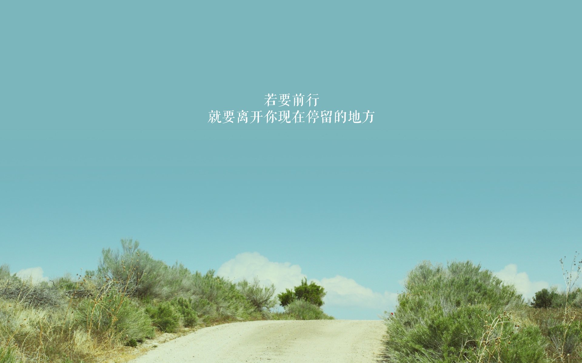 白狼啸月,中亚铁骑破巴格达,罗德里戈归化之王加冕,乌兹别克斯坦撕裂F组格局