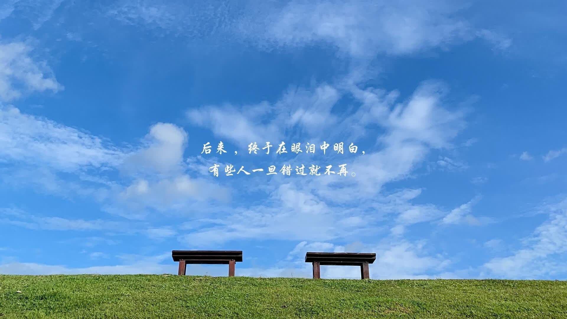 唯一的光，2026世界杯H组，孙兴慜与韩国中场铸就的不可复刻之夜